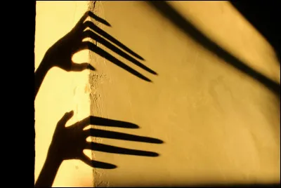 Au Moyen Âge et encore aujourd'hui, on m'associe à des croyances superstitieuses, notamment quand je suis noir. Je suis...