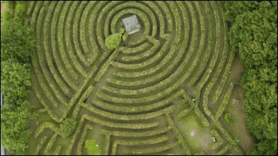 Dans un célèbre conte de Lewis Carroll, je joue le rôle de guide énigmatique et extravagant du protagoniste. J'apparais et disparais lorsque je le souhaite. Je suis...