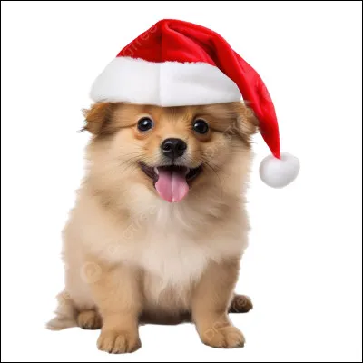 Voici un animal qui en dit beaucoup !