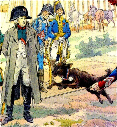 Le chien fox-terrier de Napoléon s'appelait Milou.