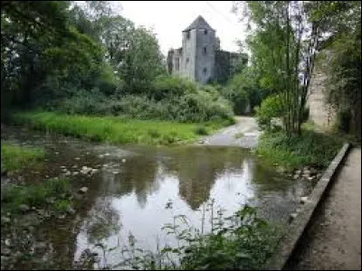 Vous avez sur cette image le château de Précilhon, se reflétant dans l'Escou. Village Béarnais, il se trouve dans l'ex région ...