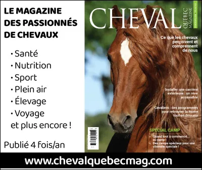 Quelle discipline préférez-vous ?