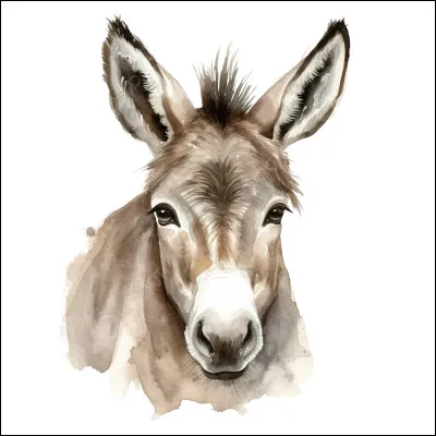 La femelle de l'âne est la/le/l'...