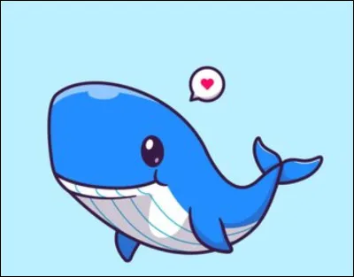 De quelles couleurs est l'orque ?