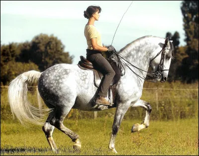 Quelle est ta couleur préférée ?