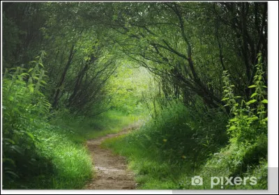 Cette chanson commence ainsi : Dans le petit bois de Trousse-chemise, trouvez son interprète !