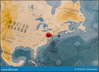 En quelle année New York city devient la plus grande ville des États-Unis ?