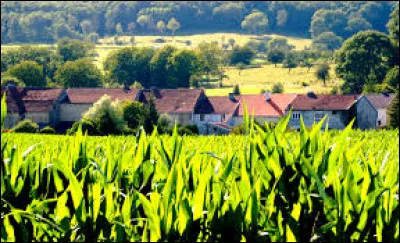 Ancienne commune Haut-Marnaise, Nijon se situe en région ...
