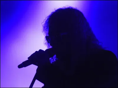 Quel chanteur vivant (2024) est l'auteur-compositeur et interprète de la chanson ''Le Bal des Laze'' ?