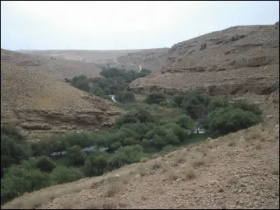 Quel est ce fleuve, long au total de 571 km, qui prend sa source au centre du Liban, traverse la Syrie occidentale en arrosant Homs et Hama et se jette dans la Méditerranée dans la région du Hatay en Turquie ?