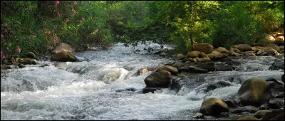 Quel est cette rivière du sud-Liban, longue de 60 km, qui prend sa source sur le flanc libanais du Mont Hermon, coule vers le sud en Israël et, avec la Baniyas et la Dan, forme le Jourdain ?