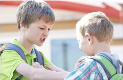 Lucas et Gabriel se battent dans la cour car ils sont tous deux amoureux de Zoé.