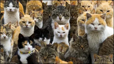 Arrivé au lieu de rendez-vous, vers qui vas-tu ?