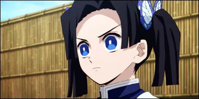 Qui est cette pourfendeuse ?