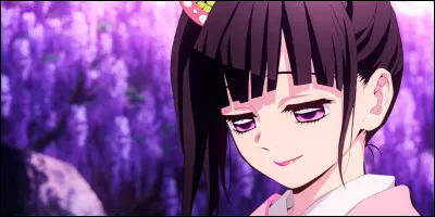 Qui est cette pourfendeuse ?