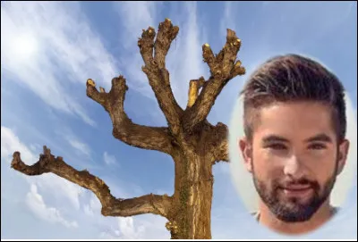 Quel métier exerçait Kendji Girac avant de devenir célèbre ?