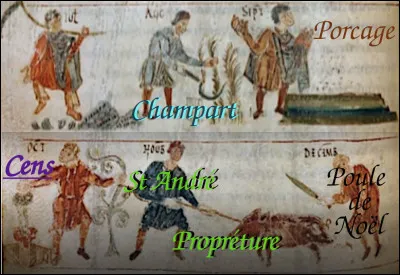 Du coup, comme il ne sait toujours pas lire - ce qui est somme toute bien pratique - on lui apprend à compter ! Et il connaît par coeur son calendrier : preuve, il sait qu'il doit s'acquitter du champart [...quand ?...]