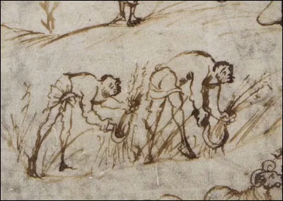 Il en résulte que le travail comme la vie paysanne... [Complétez !]