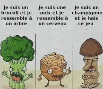 On cherche maintenant ce comestible qui se nomme tricholome de la Saint-Georges qui est savoureux et très recherché à la sortie de l'hiver. Le trouvez-vous ?
