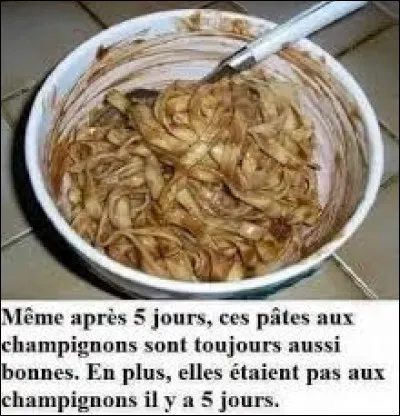 Le clitopile petite prune, appelé aussi meunier, est un champignon comestible que l'on cueille à partir du début de l'été et jusqu'au début de l'automne. Pouvez-vous le retrouver parmi ces trois espèces ?