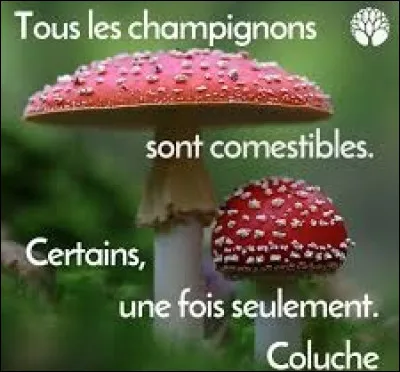 De ces trois variétés d'amanites, laquelle est l'amanite phalloïde, champignon mortel pour l'homme ?