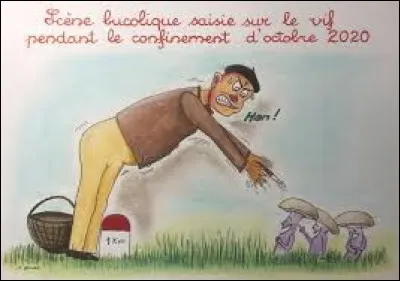 Communément appelée coulemelle, retrouvez ce comestible nommé lépiote élevée ?