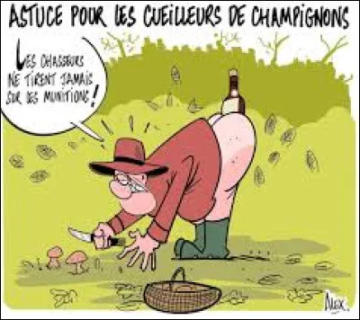 Comestible, la pleurote en forme d'huître, de son vrai nom Pleurotus ostreatus est lequel de ces trois champignons ?