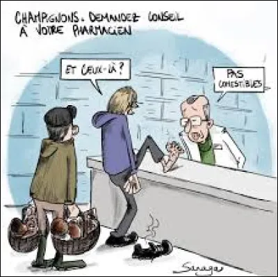 Pourriez-vous me trouver ce comestible nommé lactaire délicieux ?