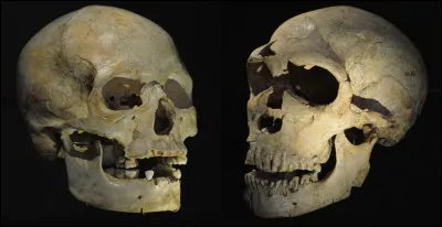 Quel homme a cohabité avec celui de Cro-Magnon ?
