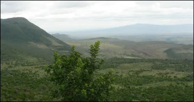 Sur quel continent se trouve « le berceau de lhumanité » ?