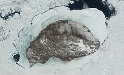 Située dans l'océan Arctique et inhabitée, l'île Wrangel appartient...