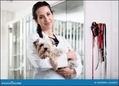 Qui soigne les animaux malades ?