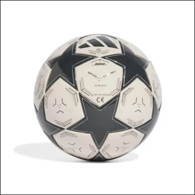 À quelle compétition correspond ce ballon ?
