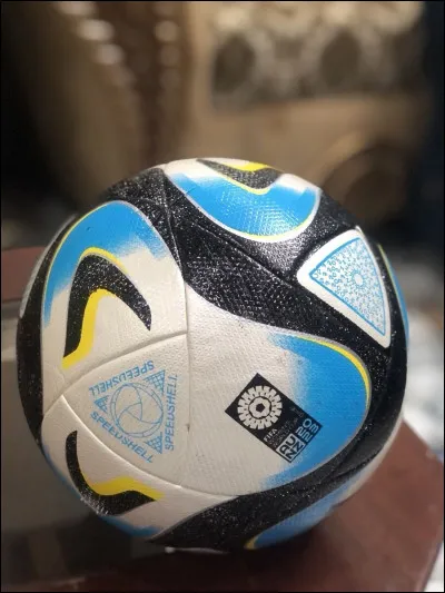 À quelle compétition correspond ce ballon ?