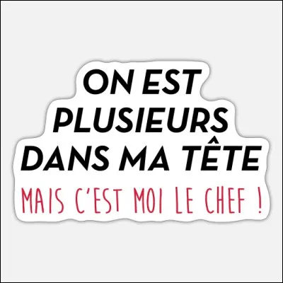 Etre un peu (beaucoup) dérangé, proche de l'asile !