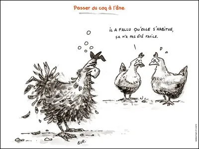 Passer du ... à ... !