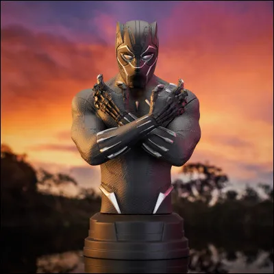 Black Panther est un guerrier et un...