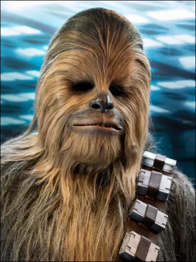 Quel animal provient de ''Star Wars'' ?