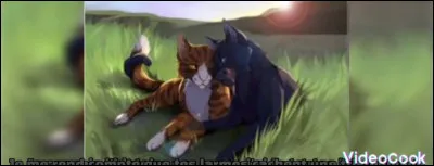 Veux-tu devenir chef ou découvrir la Source de Lune ?