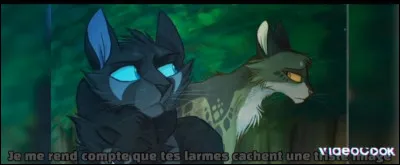 Est-ce que tu préfères avoir été avec les élus du cycle 2 ou sauver un apprenti du Clan de la Rivière ?