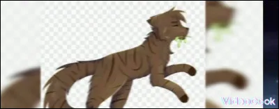 Qui penses-tu avoir ? Poil d'Écureuil ou Feuille de Lune ?