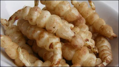 En argot, comment dit-on mourir ?