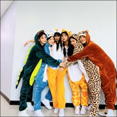 Quel est ton animal préféré parmi ceux qui sont proposés ?