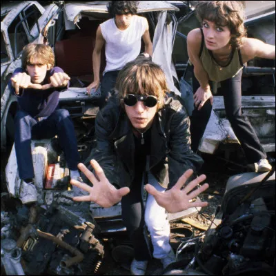 Comment s'appelle le groupe de rock dans lequel il a joué de 1976 à 1986 avec Jean-Louis Aubert, Richard Kolinka et Corine Marienneau ?