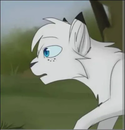 Elle avait une sur ; quel était son nom de chaton ?