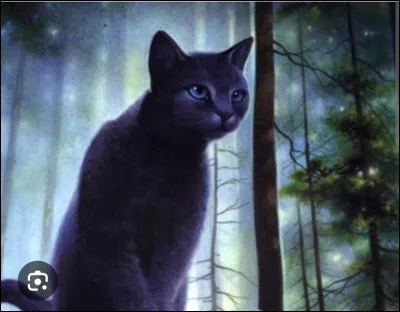 Quel était le nom d'apprentie d'Étoile Bleue ?