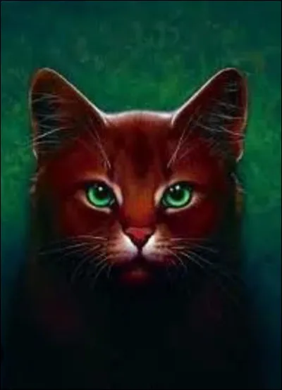 Qui était son chef lorsqu'elle a eu son nom de guerrière ?