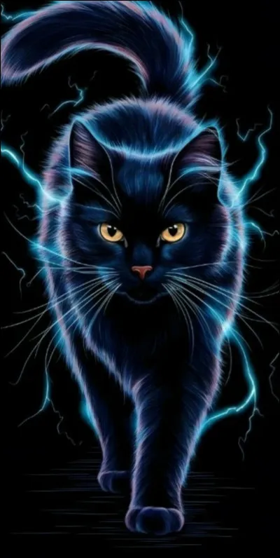 Comment Pelage de Soleil est-il devenu chef ?