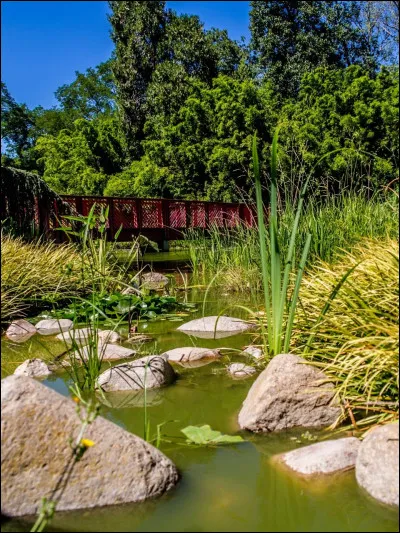 Lorsqu'on est doué en jardinage et avec les plantes, on dira que l'on a...