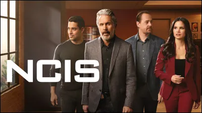 Dans la série "NCIS : Enquêtes spéciales", qui est surnommé "Le bleu" par ses collègues ?